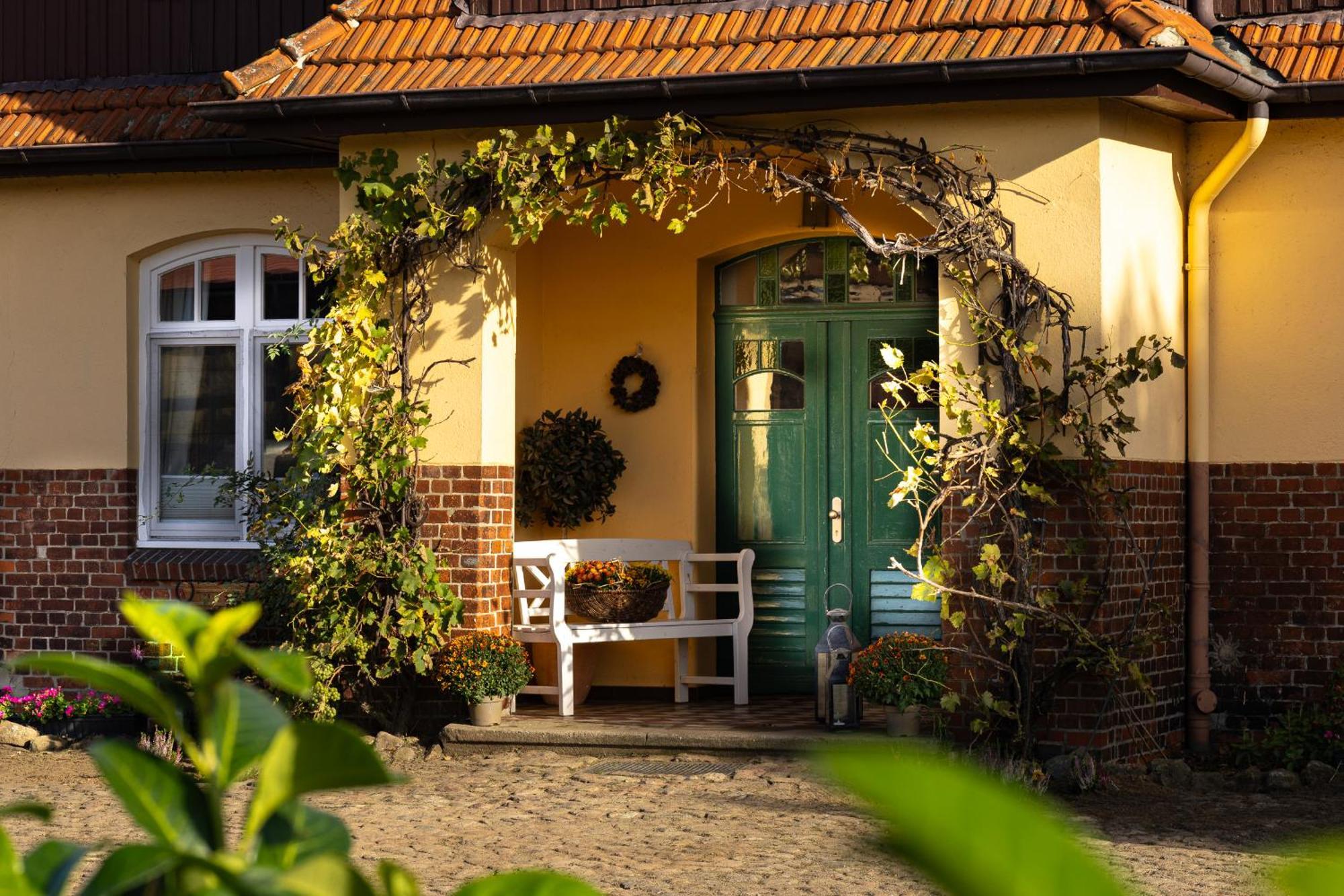 VierhofenFewo Mit Pferdeboxen, Paddock Und Weide In Der Lueneburger Heide公寓 外观 照片